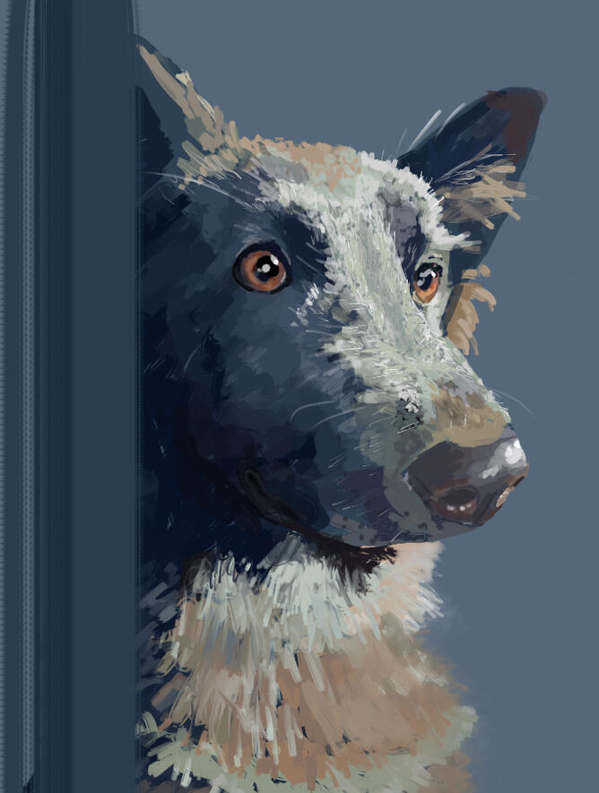 slighty goofier portrait (altered)